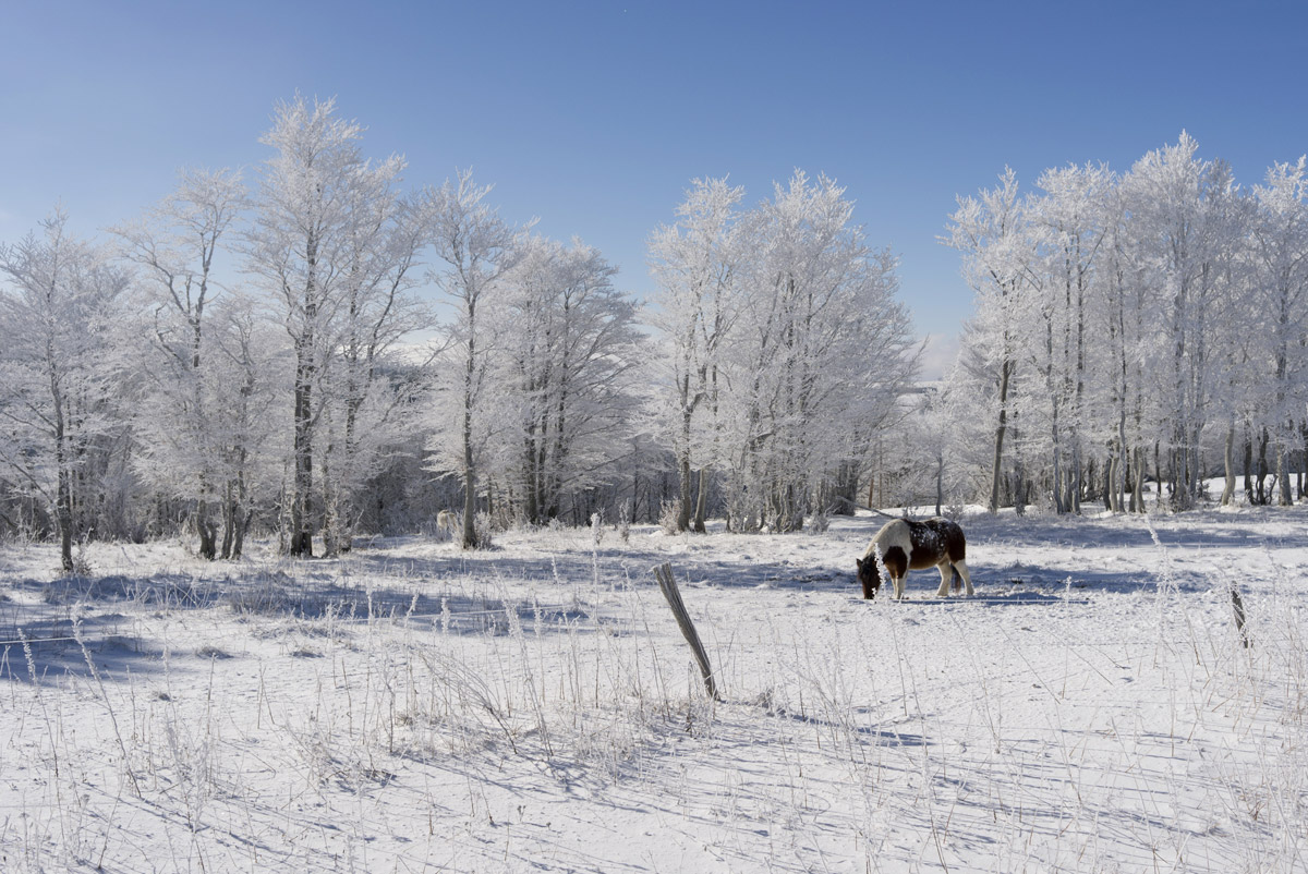 Meilleure eau minerale france - Pestrin - Ardeche - ventadour